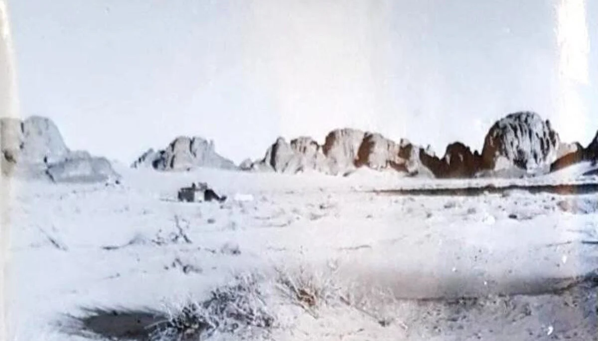 © Alfred Graf von Matuschka