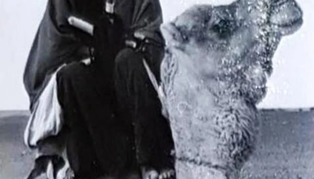 © Alfred Graf von Matuschka