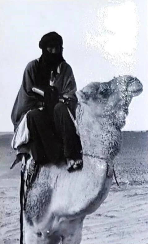 © Alfred Graf von Matuschka