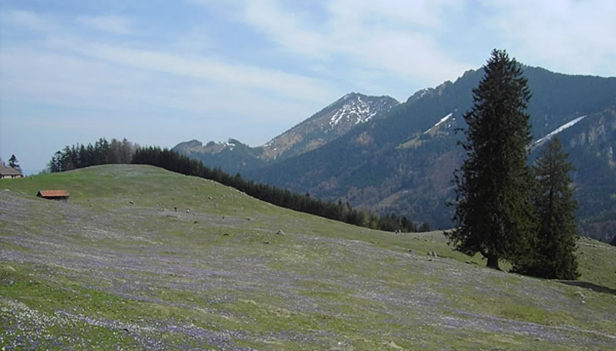 © Sektion Prien am Chiemsee des Deutschen Alpenvereins (DAV) e.V. - Ruth Gmeiner