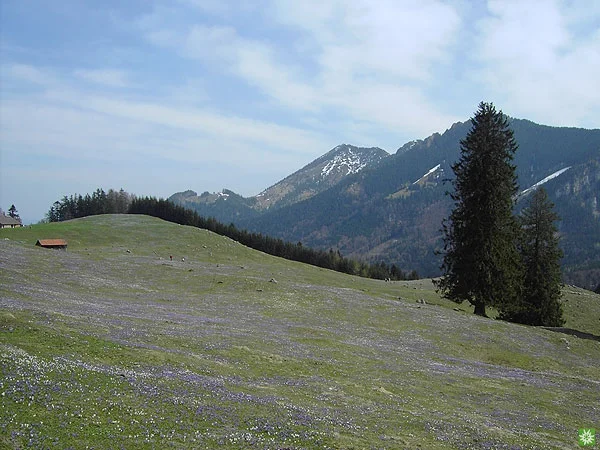 © Sektion Prien am Chiemsee des Deutschen Alpenvereins (DAV) e.V. - Ruth Gmeiner