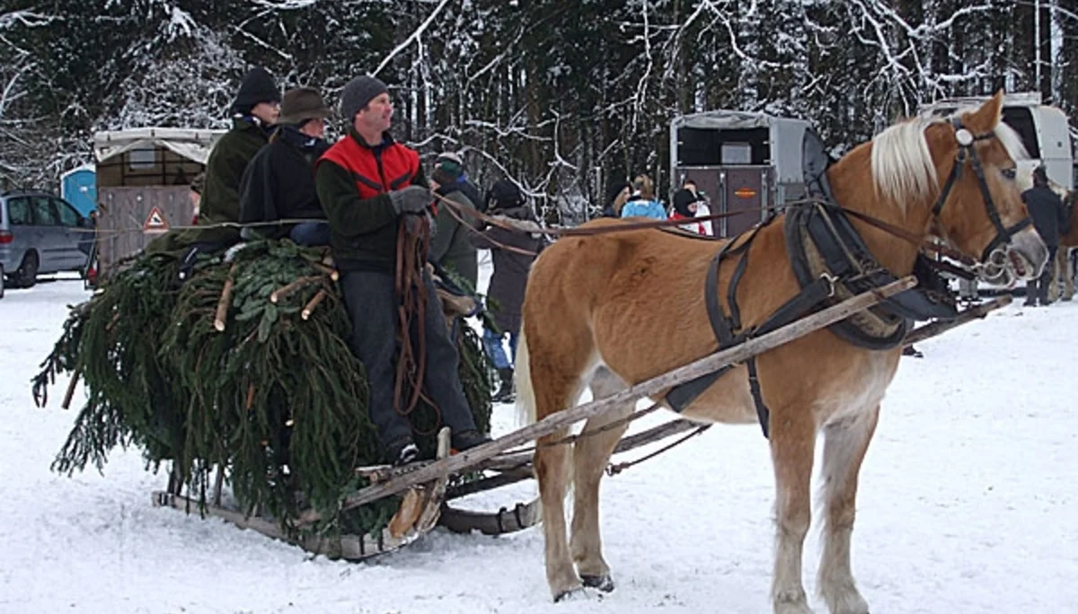 © Sektion Prien am Chiemsee des Deutschen Alpenvereins (DAV) e.V.