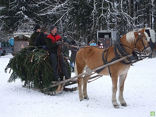© Sektion Prien am Chiemsee des Deutschen Alpenvereins (DAV) e.V.