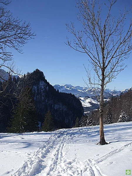 © Sektion Prien am Chiemsee des Deutschen Alpenvereins (DAV) e.V.