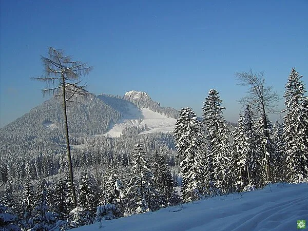 © Sektion Prien am Chiemsee des Deutschen Alpenvereins (DAV) e.V. - Ruth Gmeiner