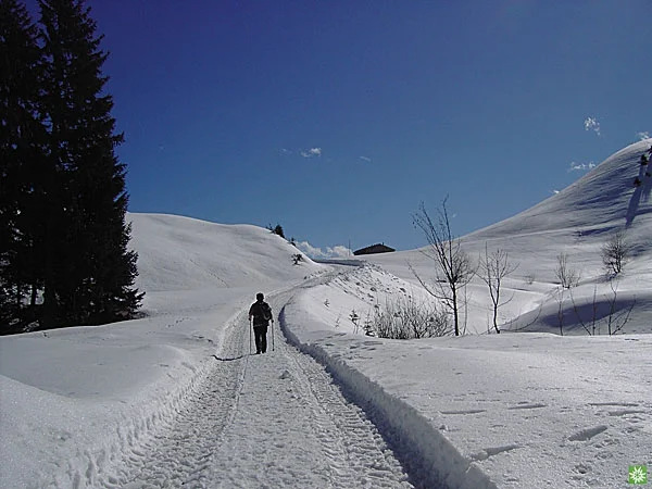 © Sektion Prien am Chiemsee des Deutschen Alpenvereins (DAV) e.V. - Ruth Gmeiner