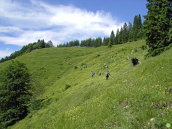 © Sektion Prien am Chiemsee des Deutschen Alpenvereins (DAV) e.V. - Ruth Gmeiner