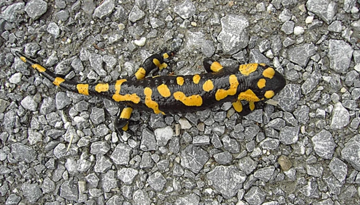 © Sektion Prien am Chiemsee des Deutschen Alpenvereins (DAV) e.V. - Ruth Gmeiner