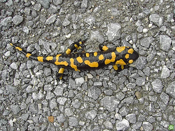 © Sektion Prien am Chiemsee des Deutschen Alpenvereins (DAV) e.V. - Ruth Gmeiner