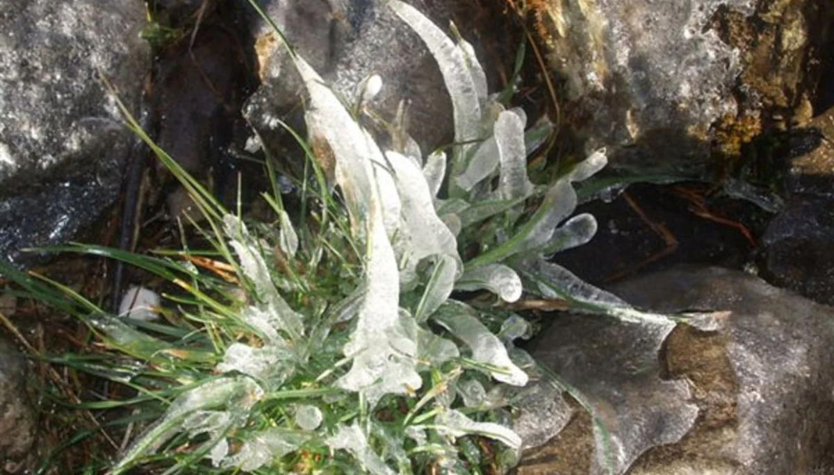 © Sektion Prien am Chiemsee des Deutschen Alpenvereins (DAV) e.V.