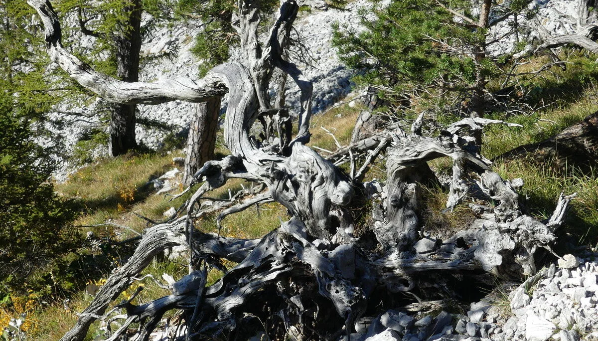 © Sektion Prien am Chiemsee des Deutschen Alpenvereins (DAV) e.V.