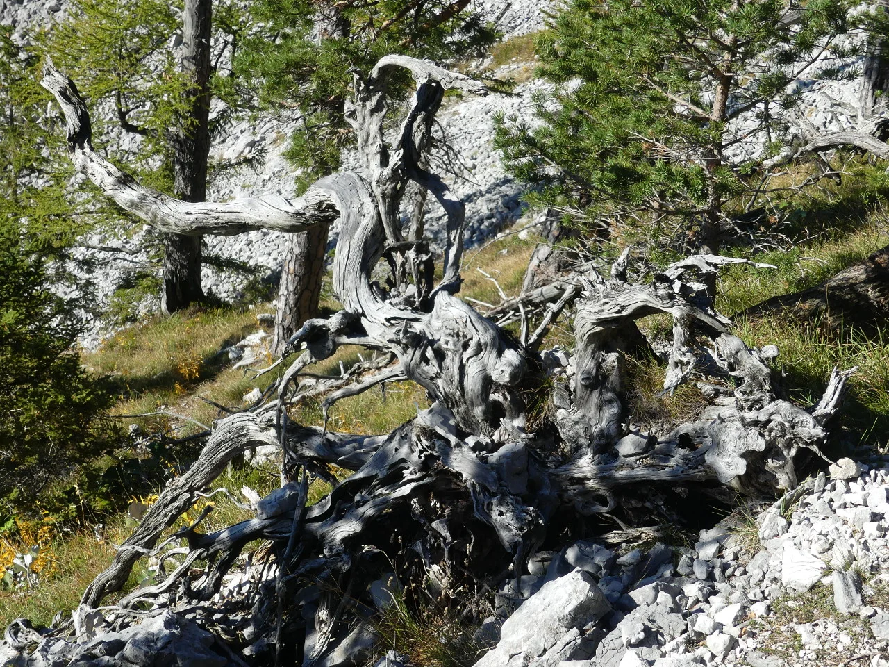 © Sektion Prien am Chiemsee des Deutschen Alpenvereins (DAV) e.V.