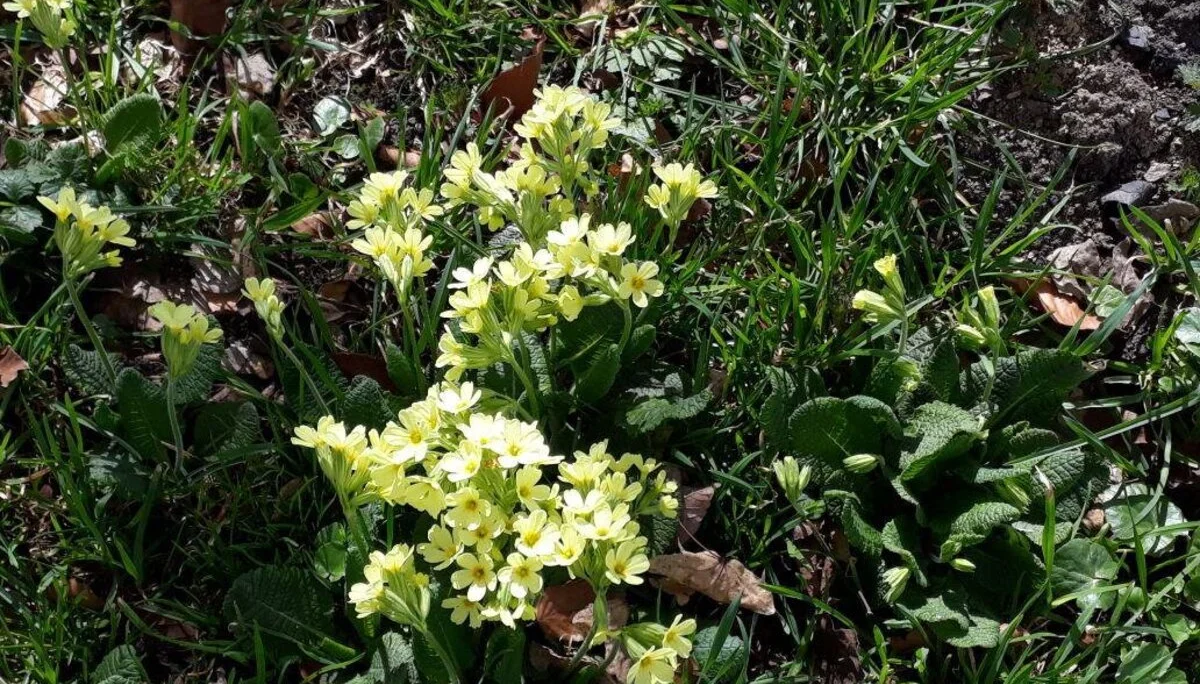 © Sektion Prien am Chiemsee des Deutschen Alpenvereins (DAV) e.V. - Peter Müller & Ingrid Ziegmann