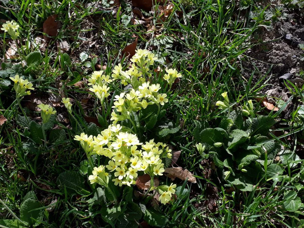 © Sektion Prien am Chiemsee des Deutschen Alpenvereins (DAV) e.V. - Peter Müller & Ingrid Ziegmann