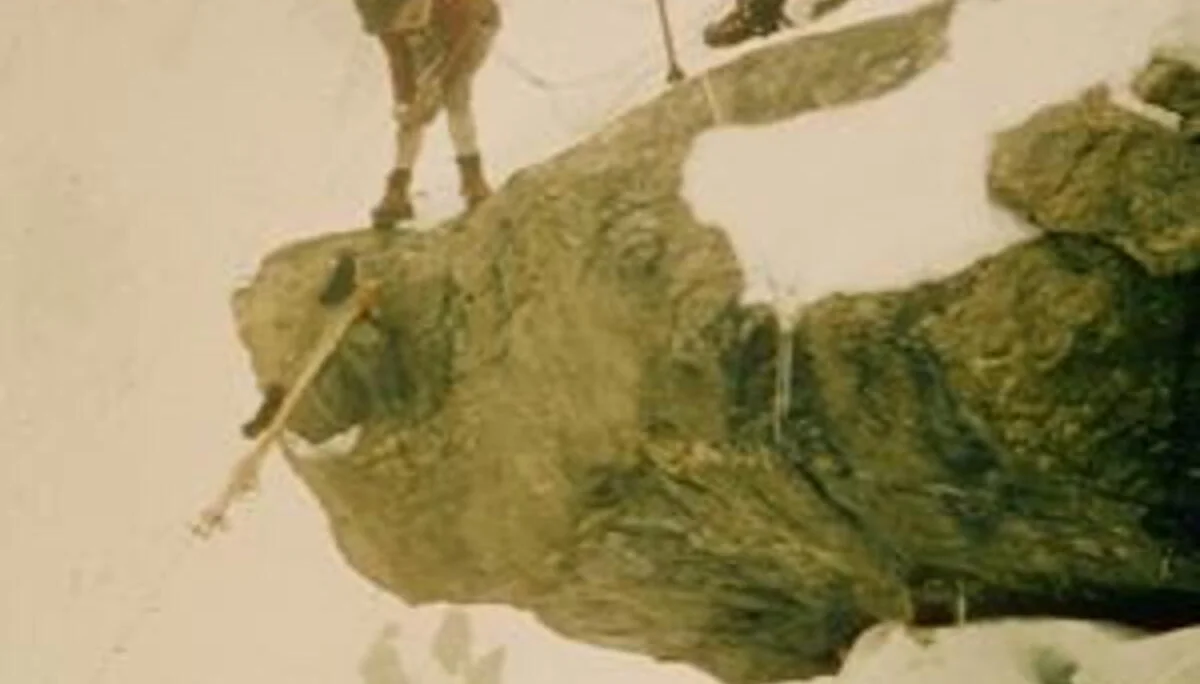 © Herrligkofer-Stiftung, Deutsches Institut für Auslandsforschung