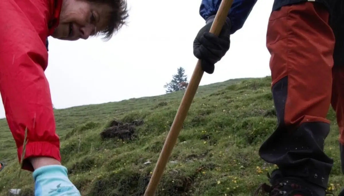 © Sektion Prien am Chiemsee des Deutschen Alpenvereins (DAV) e.V.