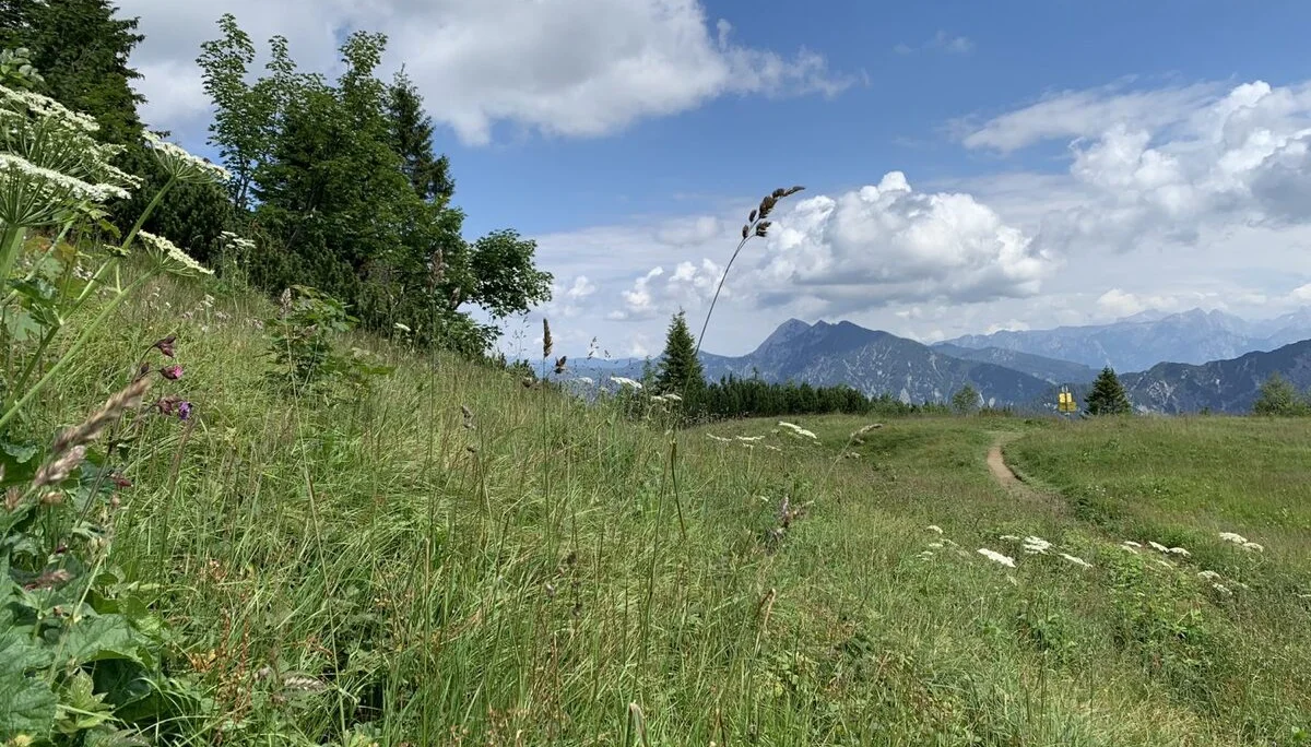 © Sektion Prien am Chiemsee des Deutschen Alpenvereins (DAV) e.V.