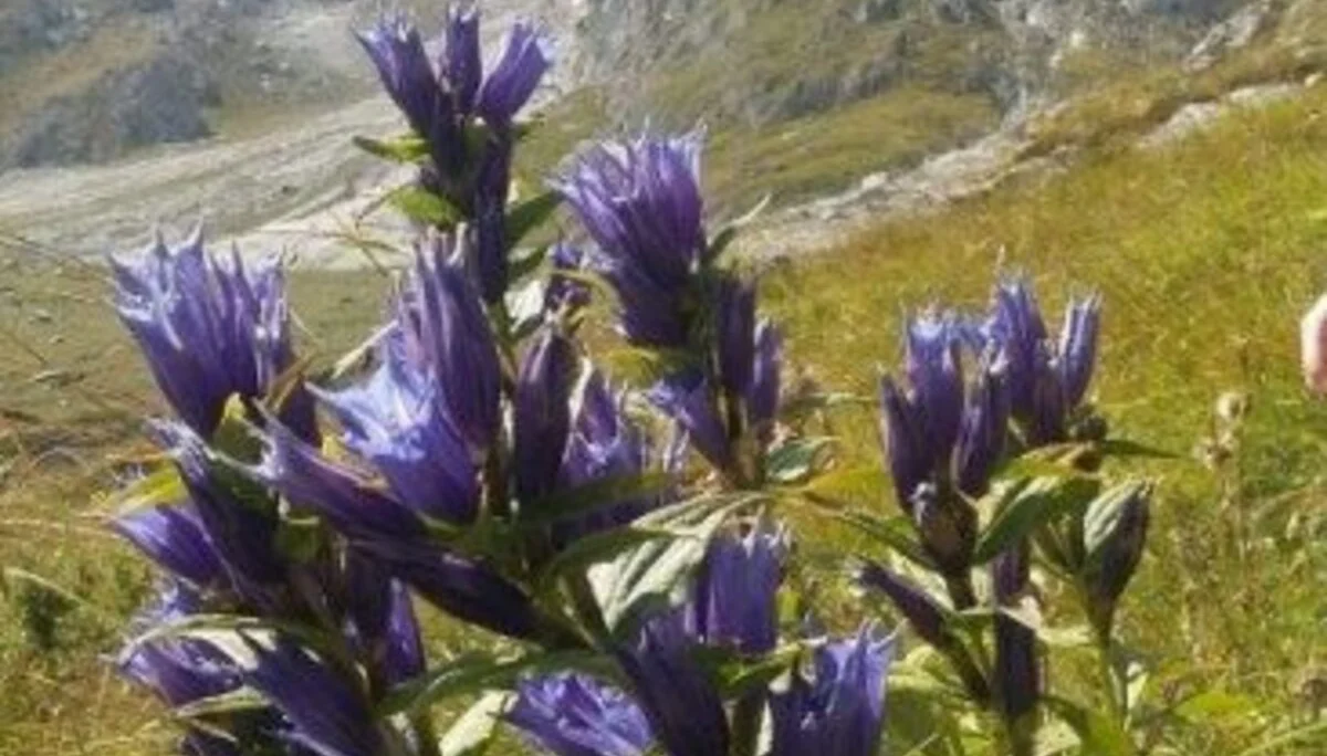 © Sektion Prien am Chiemsee des Deutschen Alpenvereins (DAV) e.V.