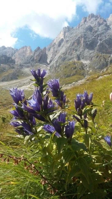 © Sektion Prien am Chiemsee des Deutschen Alpenvereins (DAV) e.V.