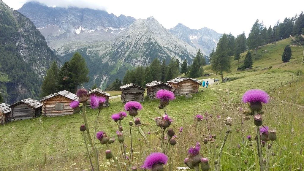 © Sektion Prien am Chiemsee des Deutschen Alpenvereins (DAV) e.V.