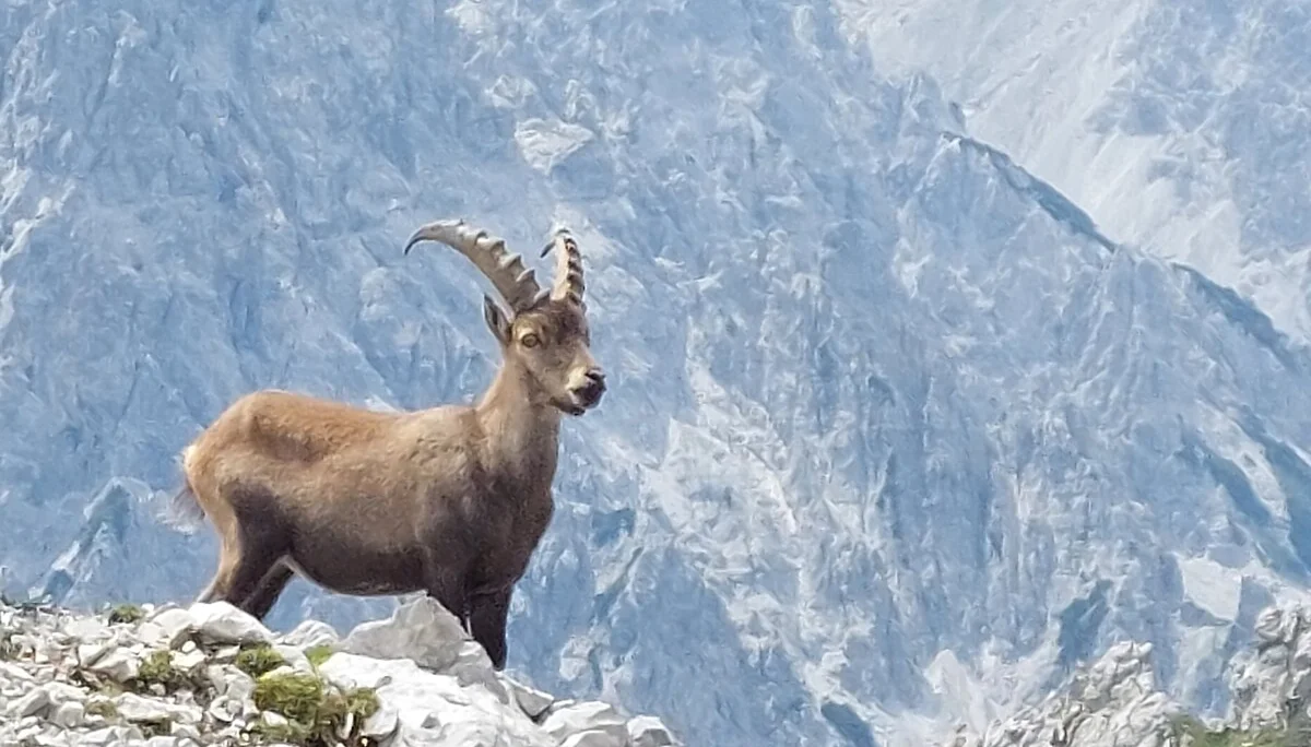 © Sektion Prien am Chiemsee des Deutschen Alpenvereins (DAV) e.V. 