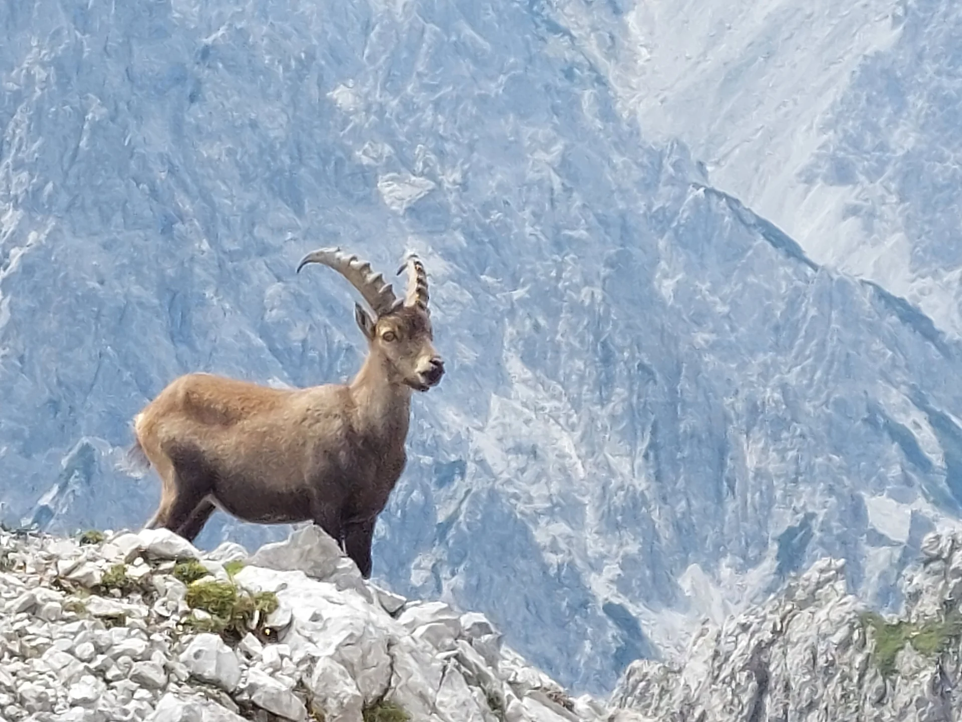 © Sektion Prien am Chiemsee des Deutschen Alpenvereins (DAV) e.V. 