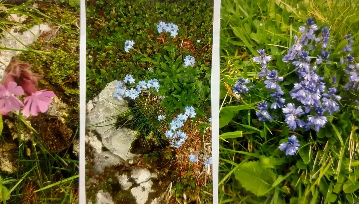 © Sektion Prien am Chiemsee des Deutschen Alpenvereins (DAV) e.V.