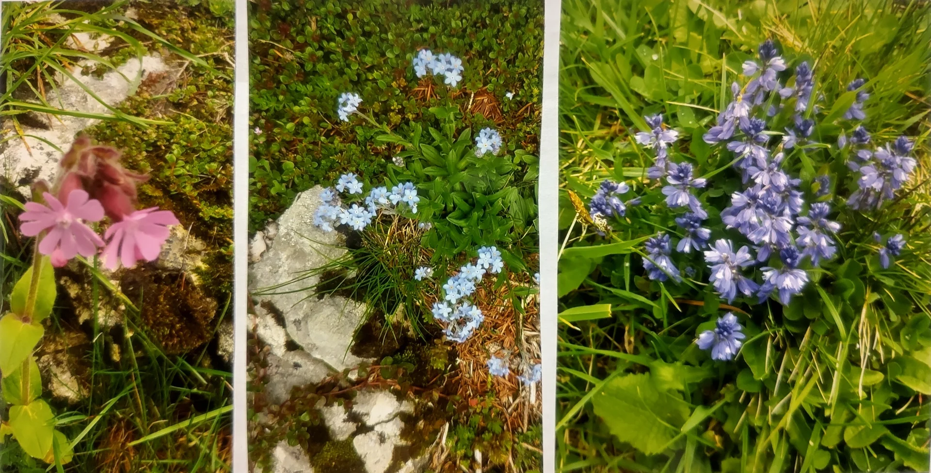 © Sektion Prien am Chiemsee des Deutschen Alpenvereins (DAV) e.V.