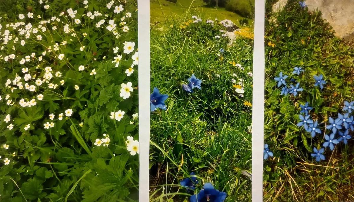 © Sektion Prien am Chiemsee des Deutschen Alpenvereins (DAV) e.V.