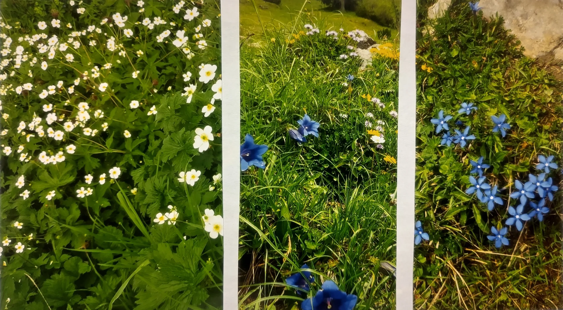 © Sektion Prien am Chiemsee des Deutschen Alpenvereins (DAV) e.V.