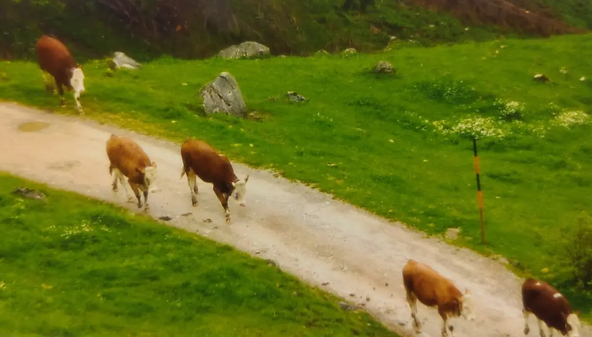 © Sektion Prien am Chiemsee des Deutschen Alpenvereins (DAV) e.V.