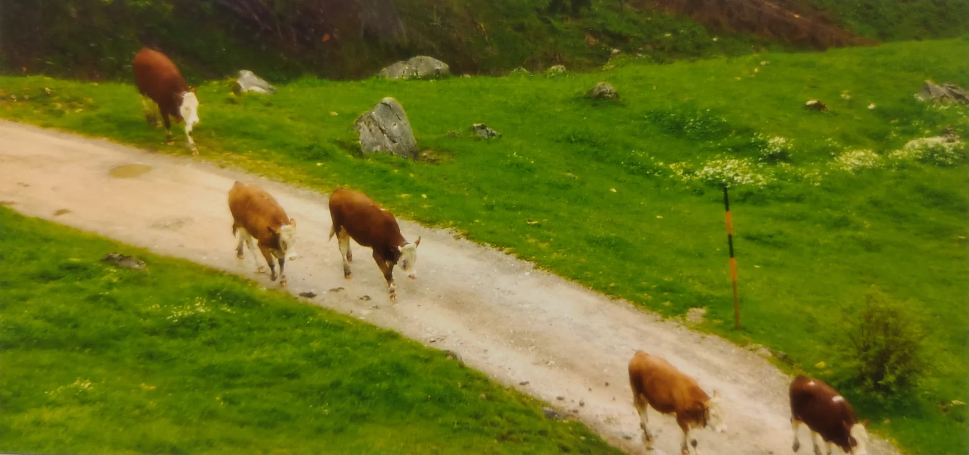 © Sektion Prien am Chiemsee des Deutschen Alpenvereins (DAV) e.V.