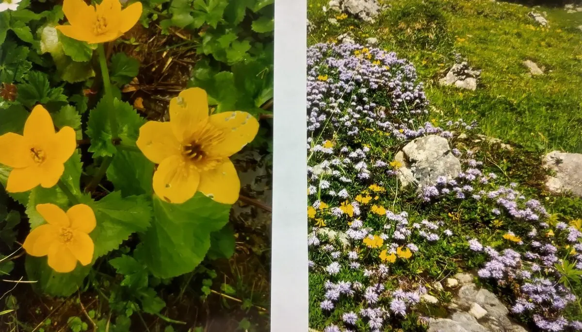 © Sektion Prien am Chiemsee des Deutschen Alpenvereins (DAV) e.V.