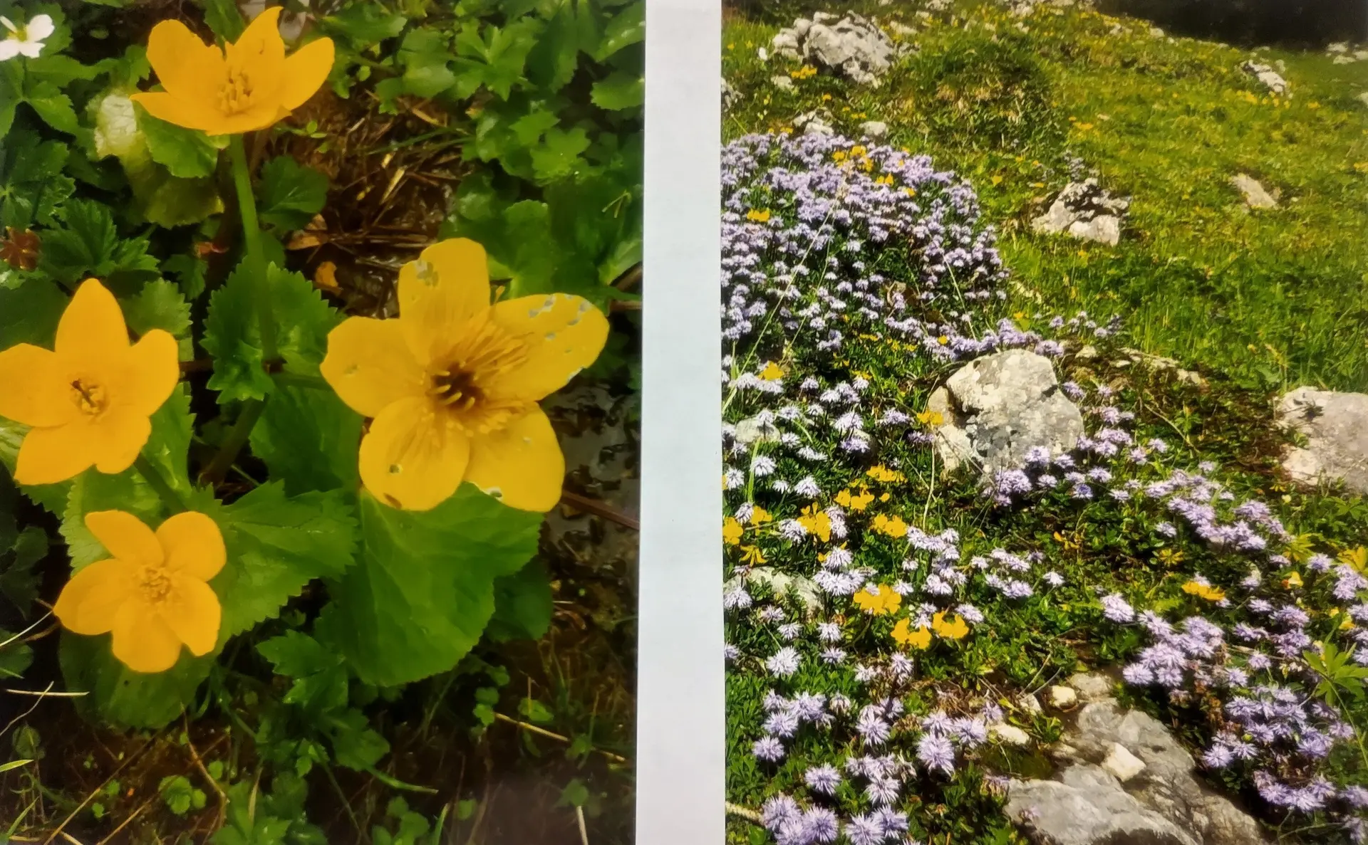 © Sektion Prien am Chiemsee des Deutschen Alpenvereins (DAV) e.V.