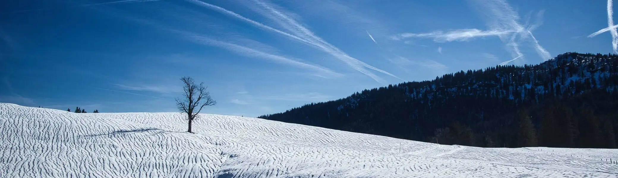 © B. Aufenanger