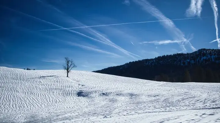 © B. Aufenanger