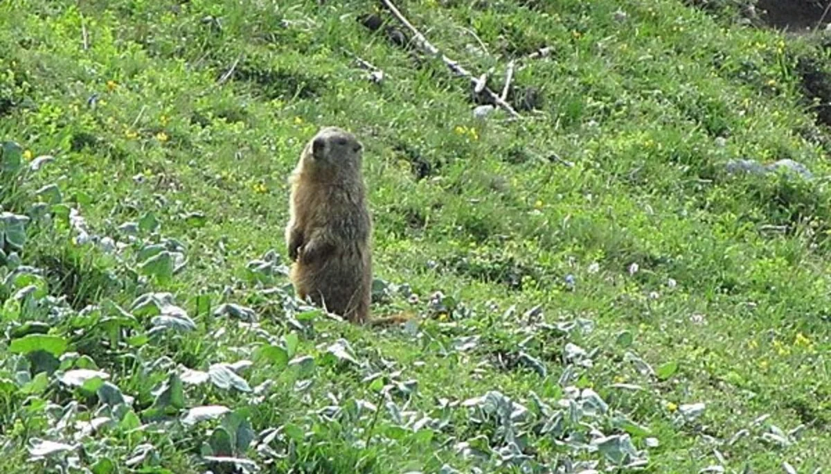 © Sektion Prien am Chiemsee des Deutschen Alpenvereins (DAV) e.V.