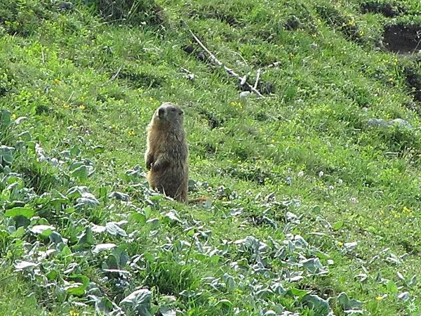 © Sektion Prien am Chiemsee des Deutschen Alpenvereins (DAV) e.V.