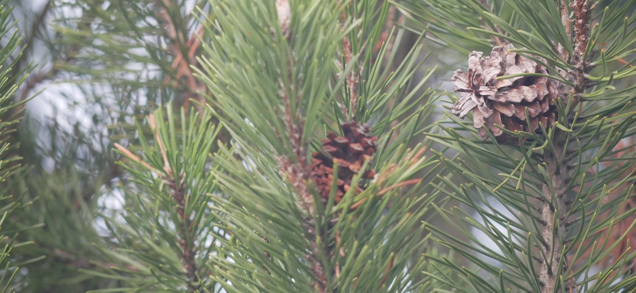 © Sektion Prien am Chiemsee des Deutschen Alpenvereins (DAV) e.V. / Sebastian Kolbeck