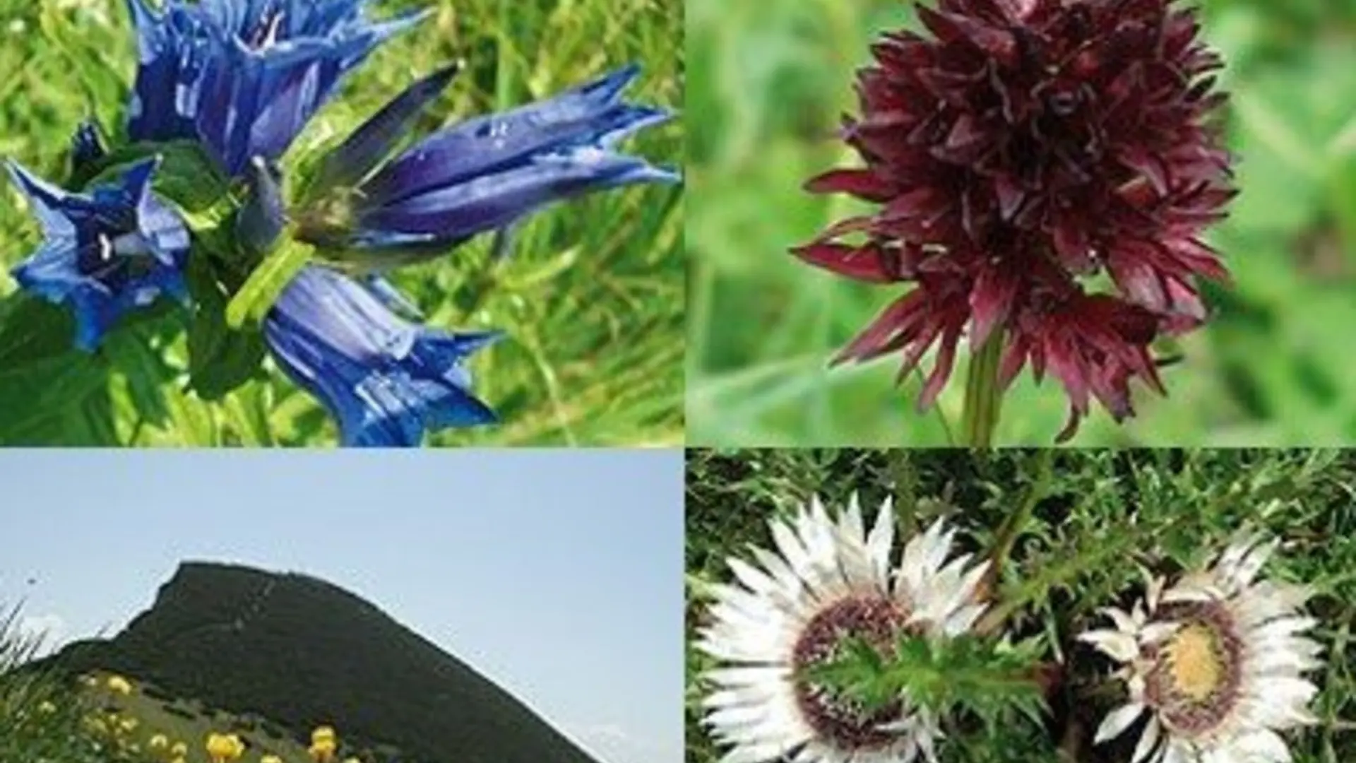 © Sektion Prien am Chiemsee des Deutschen Alpenvereins (DAV) e.V.