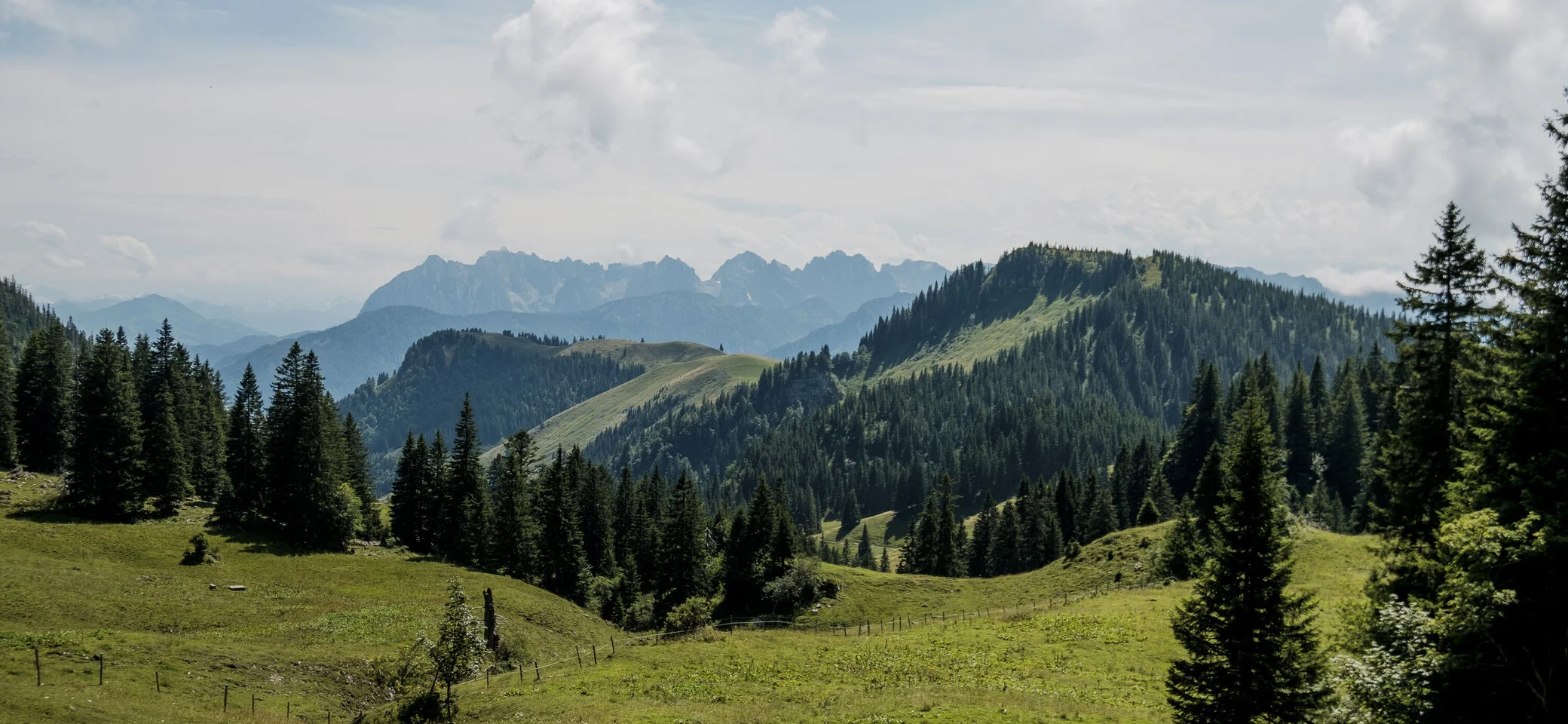 Bergwiesen in den Chiemgauer Alpen | © DAV/Hans Herbig